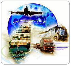 Logistic Sector